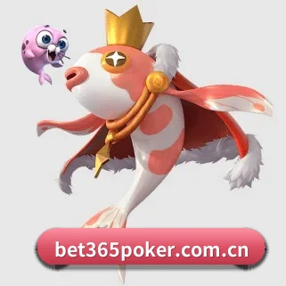 全球扩展 - 全球化战略取得重大进展,千万用户共同见证bet365成长。
